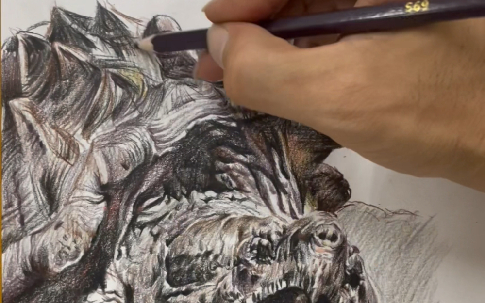 大鳄龟 彩铅手绘课程