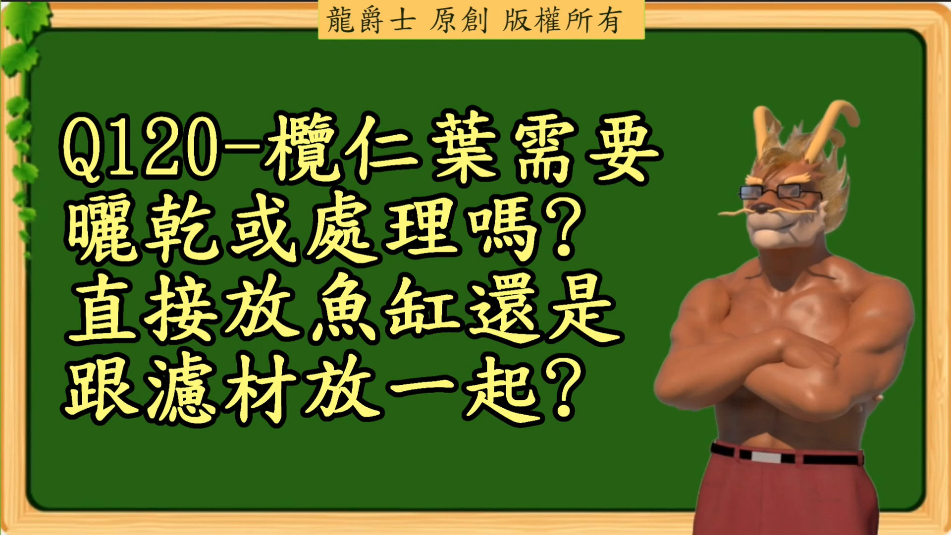 【龙爵士】千问千答 Q120榄仁叶需要晒乾或处理后使用吗,直接放鱼缸还是跟滤材放一起哔哩哔哩bilibili