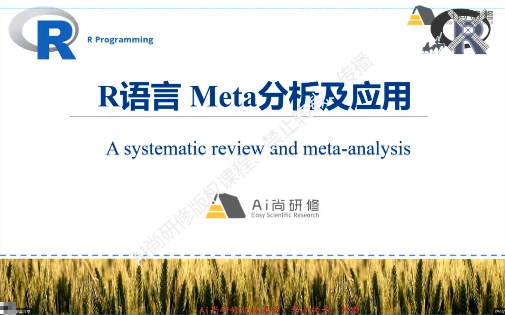 [图]教程：R语言Meta全流程、不确定、回归、诊断分析与绘图及Meta机器学习高级应用/Meta分析/论文写作/文献/机器学习/统计分析/作图/