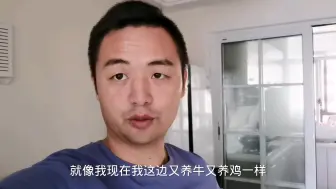 Video herunterladen: 农村养殖哪么难，为什么养牛又养鸡？实践两年小伙说出想法