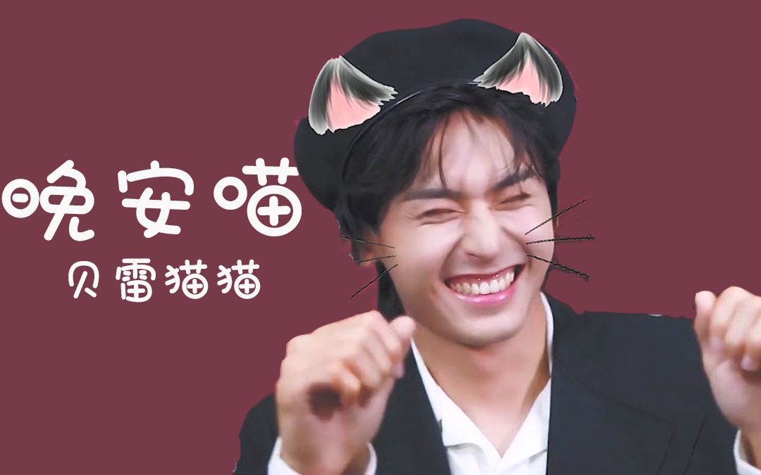 【张哲瀚 i 庆生】世界上最最可爱的贝雷猫猫_哔哩哔哩 (゜-゜)つロ