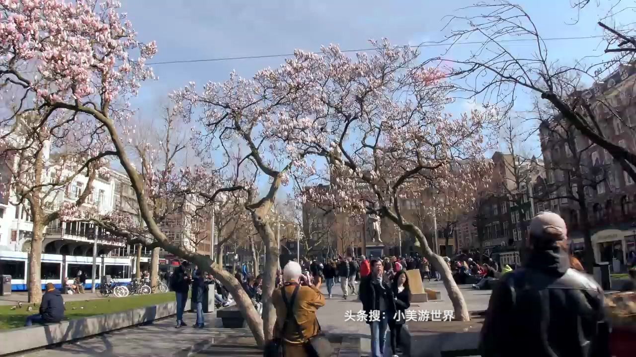 荷兰,世界最开放的国家,阿姆斯特丹,男人的天堂,美女的海洋哔哩哔哩bilibili