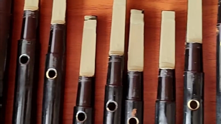 民族乐器 #笙 #非遗文化