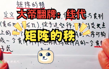 满分必点李永乐讲线代|线代重点之:【矩阵的秩】|考研数学|线代满分哔哩哔哩bilibili