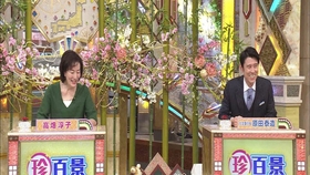 ナニコレ珍百景 稲垣香織齋藤陽菜 哔哩哔哩 つロ干杯 Bilibili