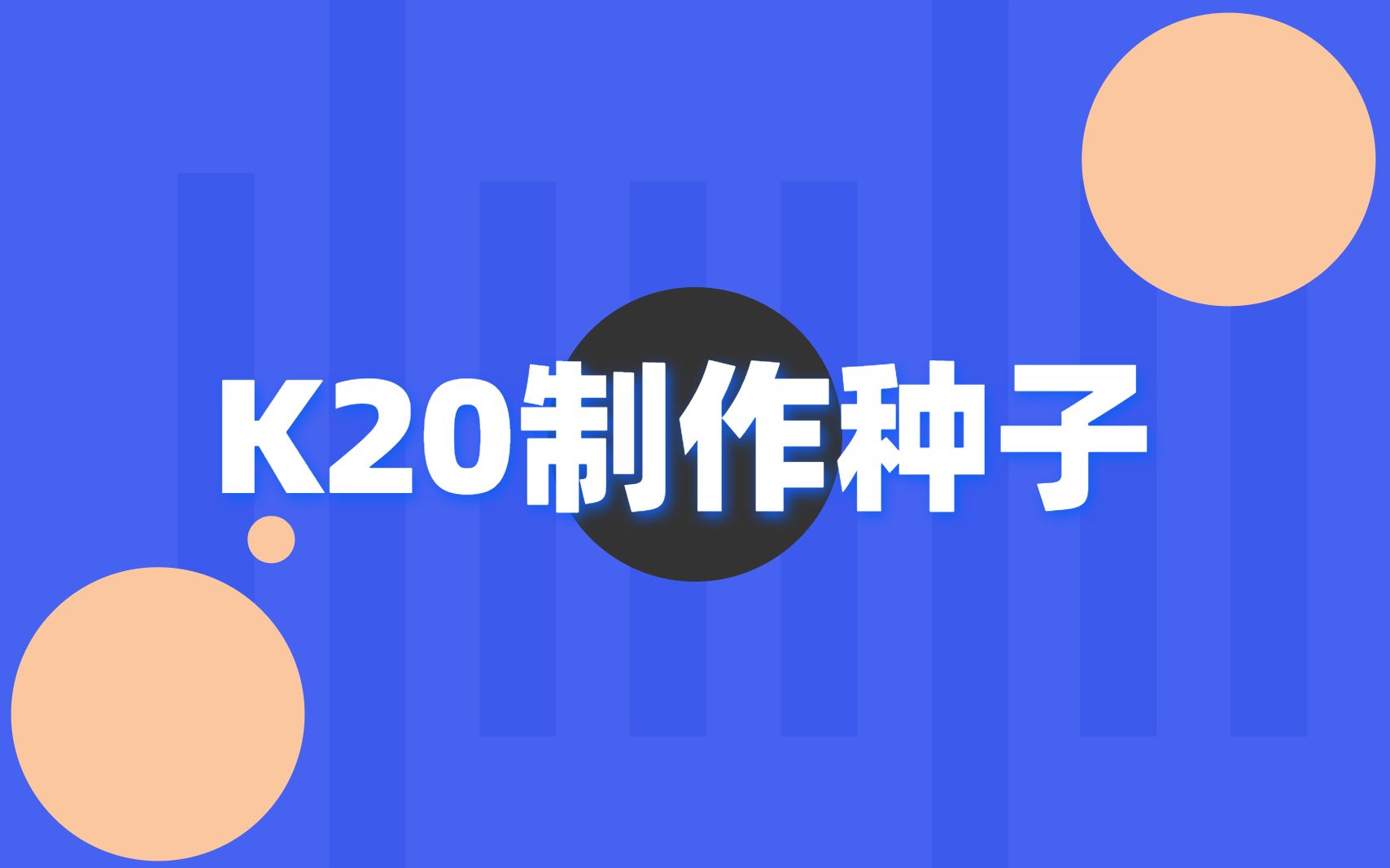 K20怎么制作种子(附精美种子购买二维码)哔哩哔哩bilibili