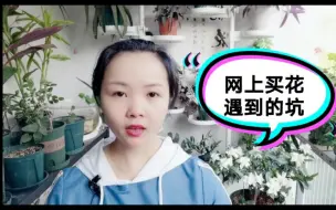 Download Video: 这些年网上买花，遇到很多坑，该怎么避免，你们遇到哪些坑呢？