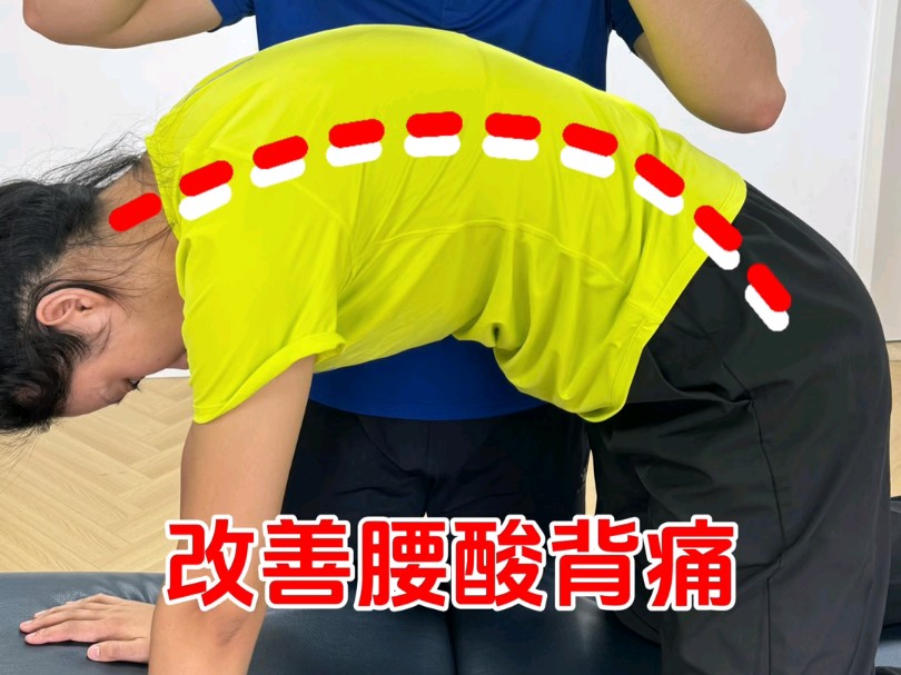 腰酸背痛!腰僵硬!哔哩哔哩bilibili