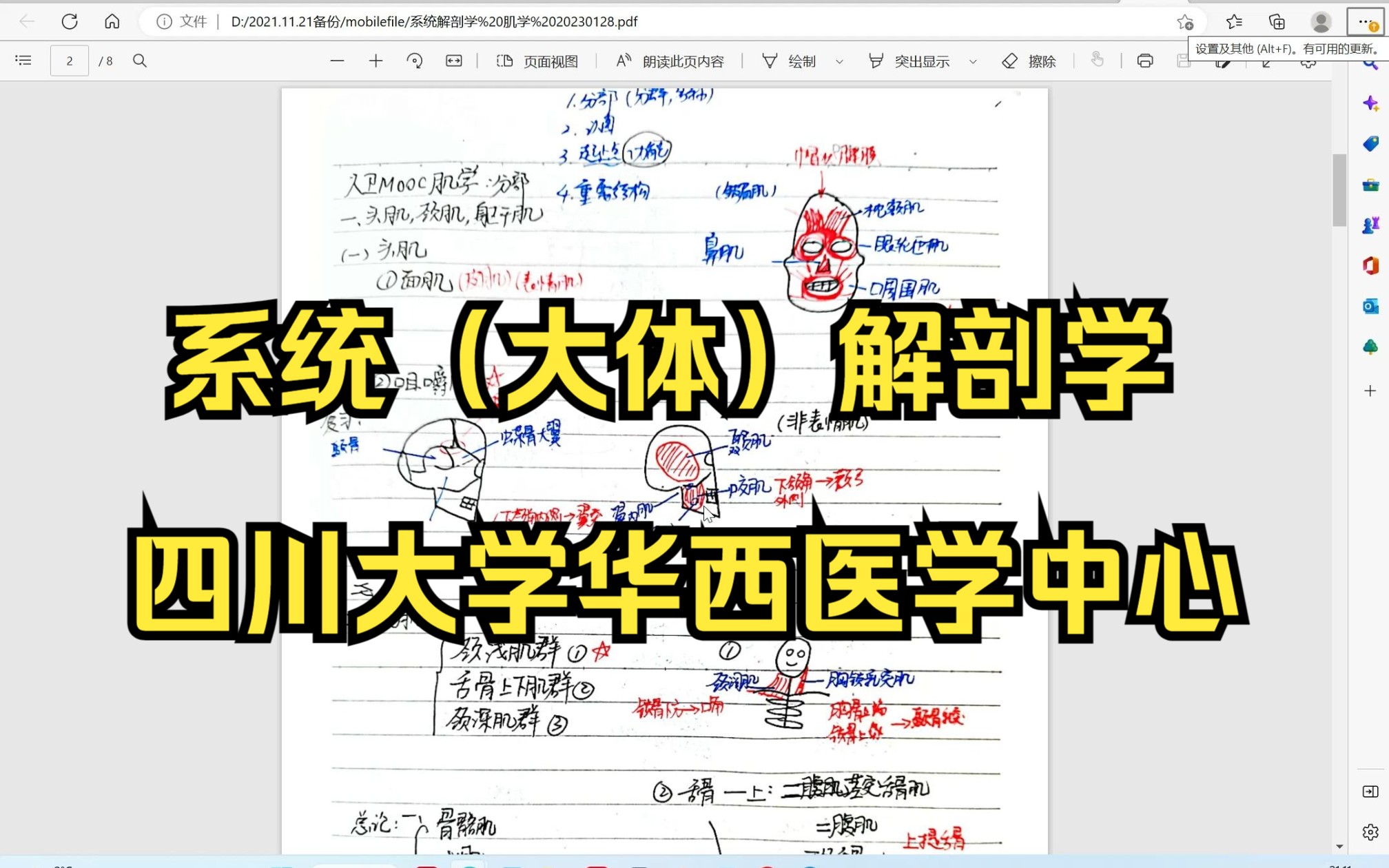 系统(大体)解剖学 肌学 四川大学华西公共卫生学院 20230128哔哩哔哩bilibili