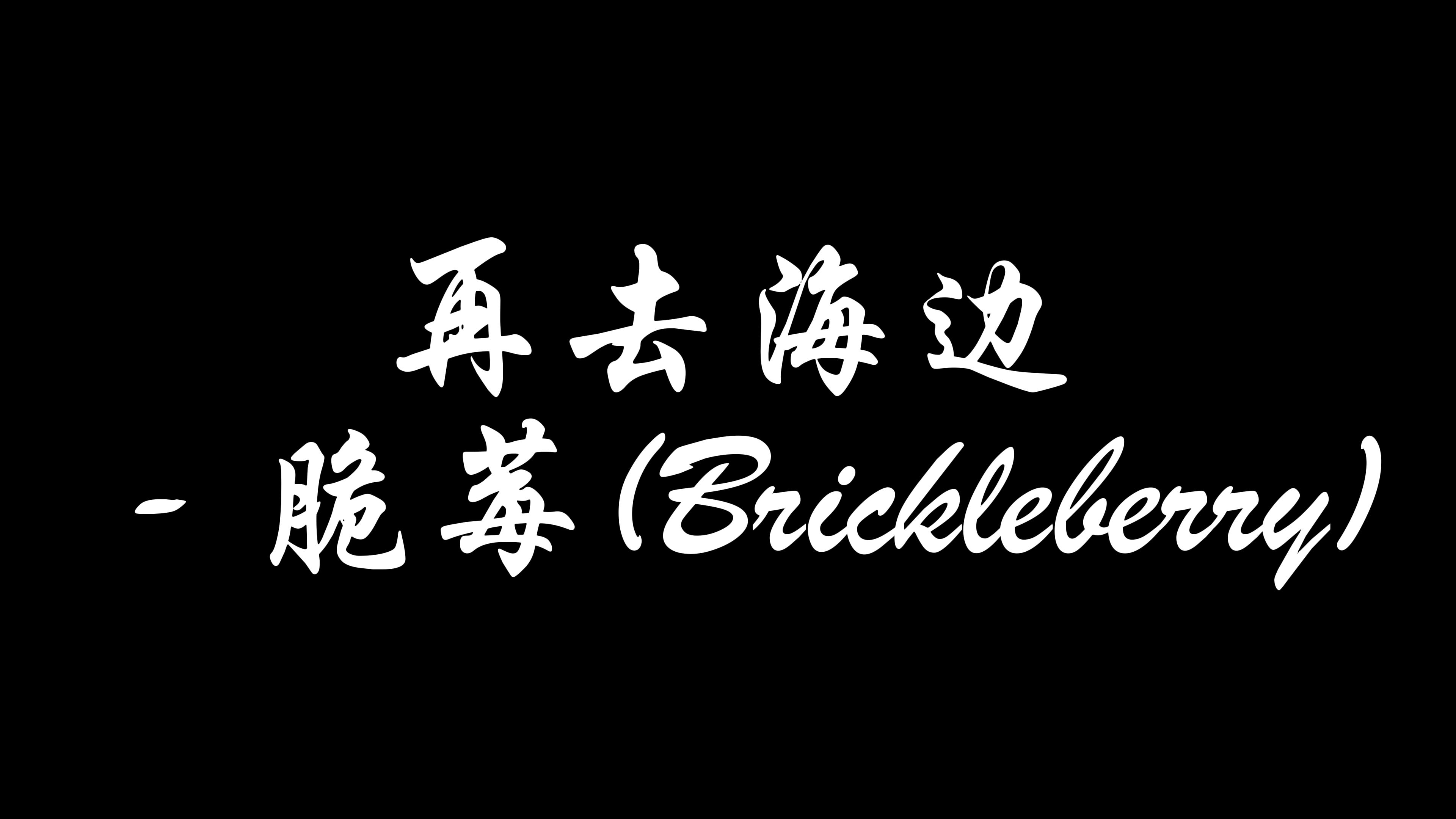 再去海边  脆莓(Brickleberry)哔哩哔哩bilibili