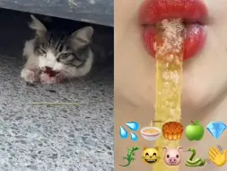 Скачать видео: 小猫咪