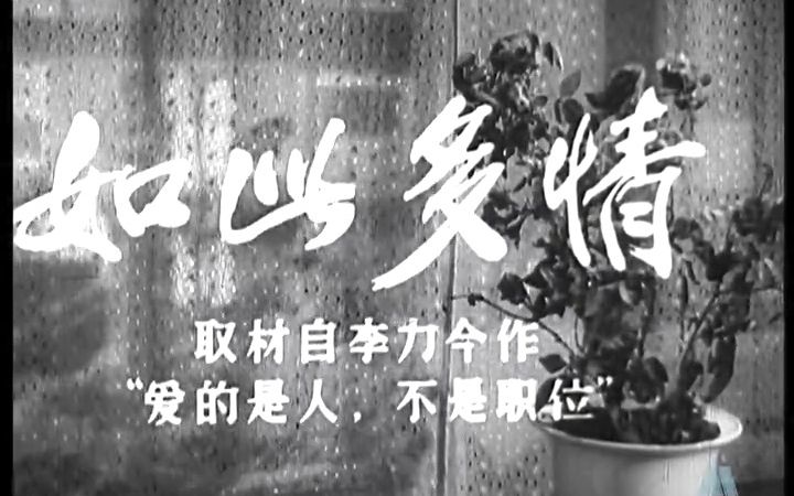 1956年.如此多情(长春电影制片厂)哔哩哔哩bilibili