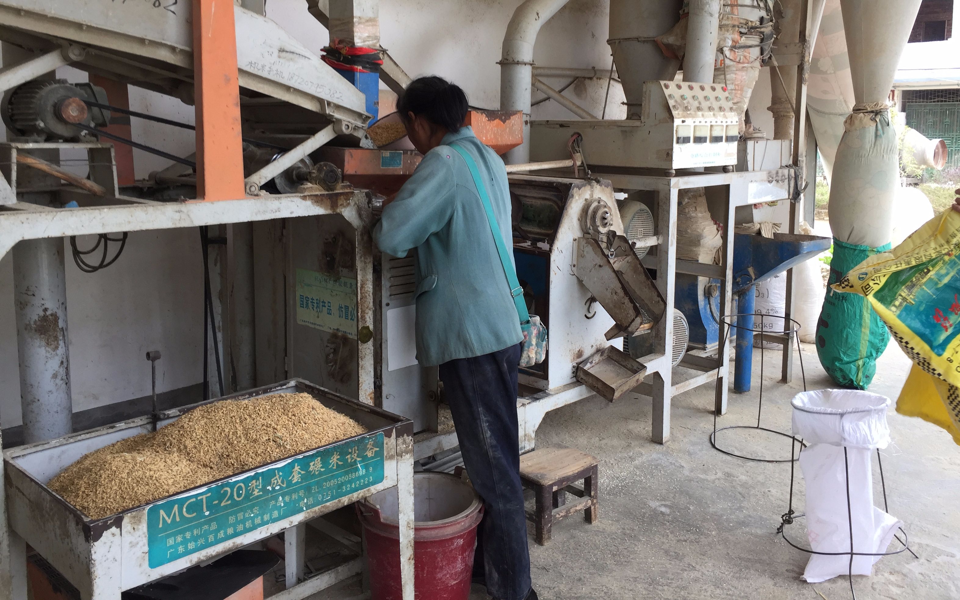 实拍农村打米,101斤稻谷打出67斤米,你们老家也是这样打米吗?