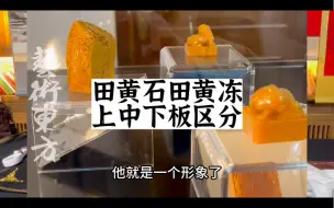 Download Video: 王敬之老师田黄收藏，鉴定，田黄石个人展