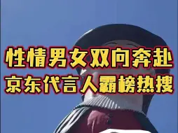 Video herunterladen: 京东双十一再整大活儿