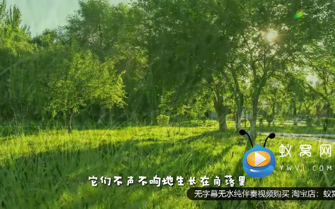 s4538《小草》 人聲示範 字幕版 少兒演講勵志 詩歌朗誦演講背景led大