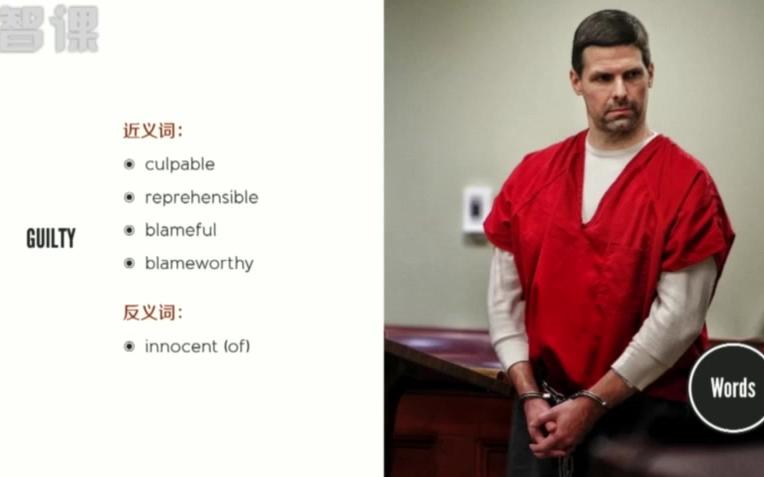 Lesson 11 Not guilty无罪哔哩哔哩bilibili