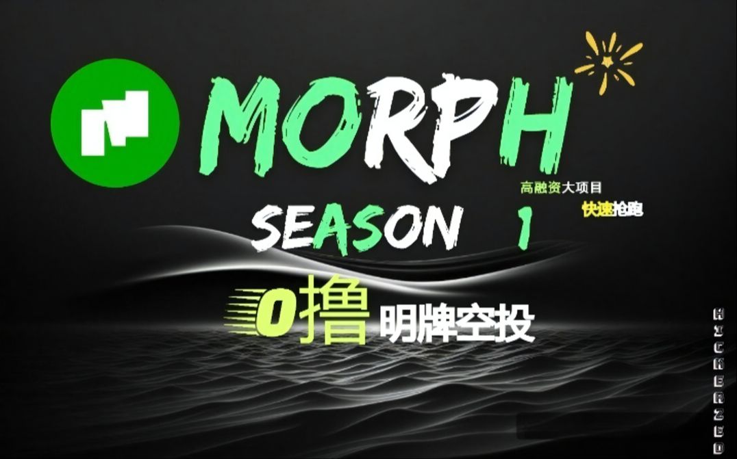 Morph保姆级0撸教学!先到先卷哔哩哔哩bilibili