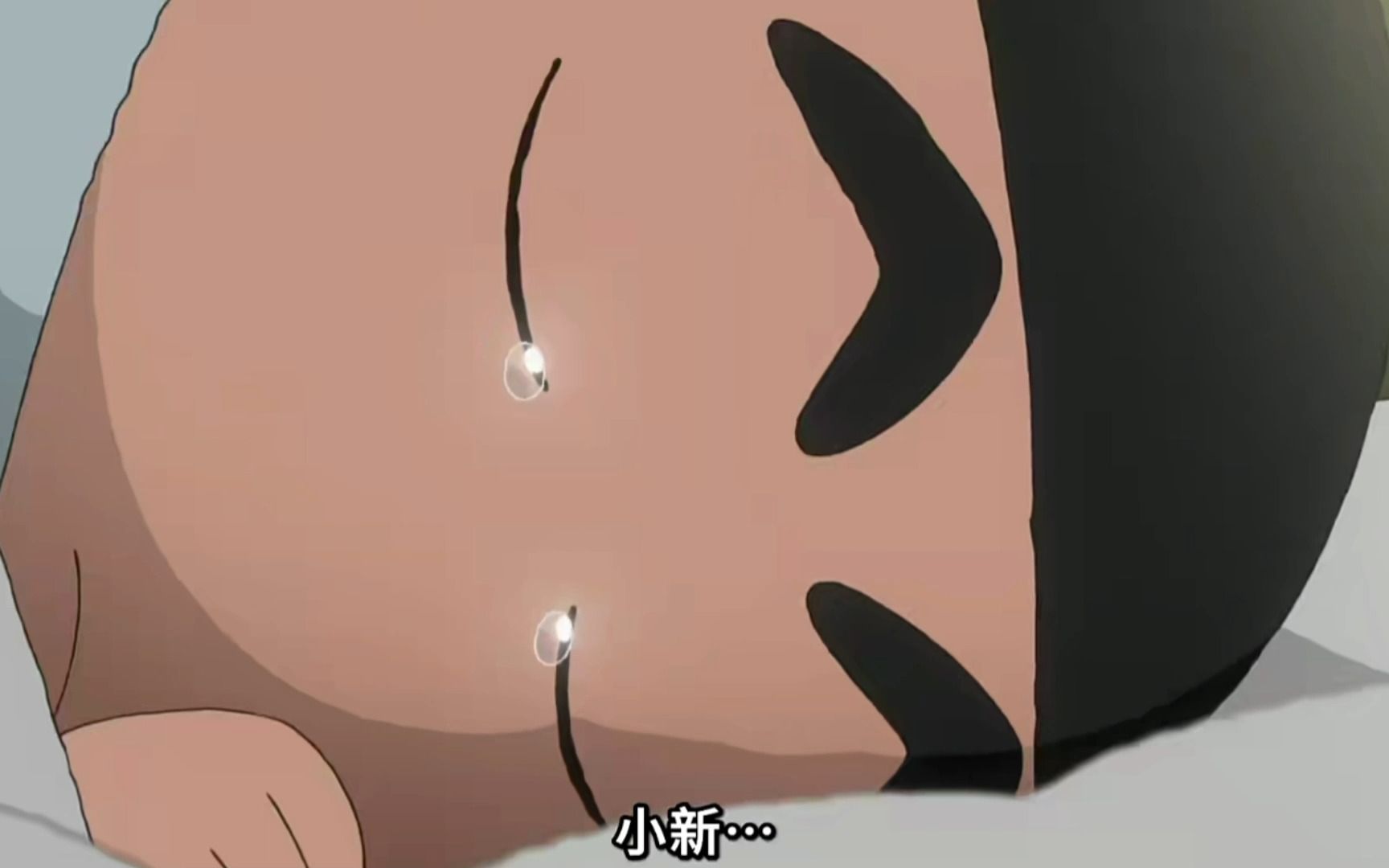 是什么居然让蜡笔小新哭了