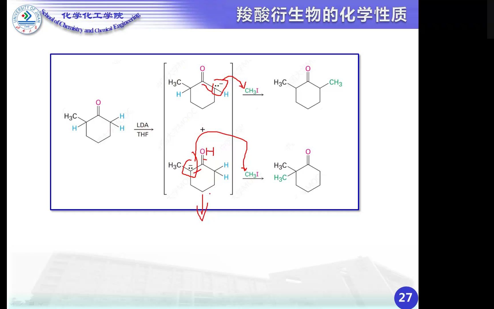 羧酸衍生物5(酰胺的水解反应、烷基化酰基化反应、脱水反应、.霍夫曼降解反应)哔哩哔哩bilibili