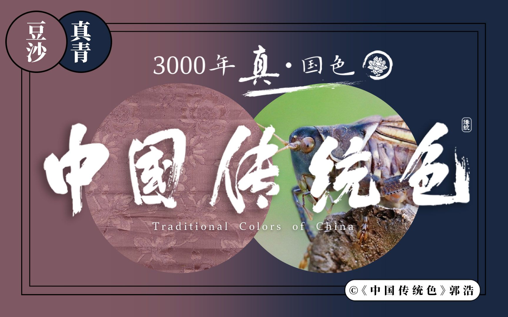 真国色·中国传统色色卡 第46组:豆沙,真青