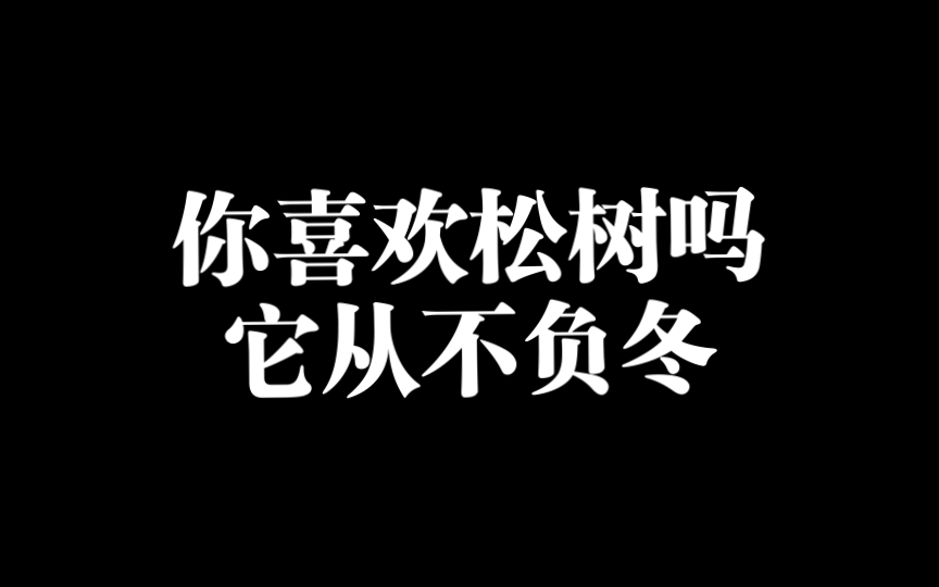 你喜欢松树吗,它从不负冬哔哩哔哩bilibili