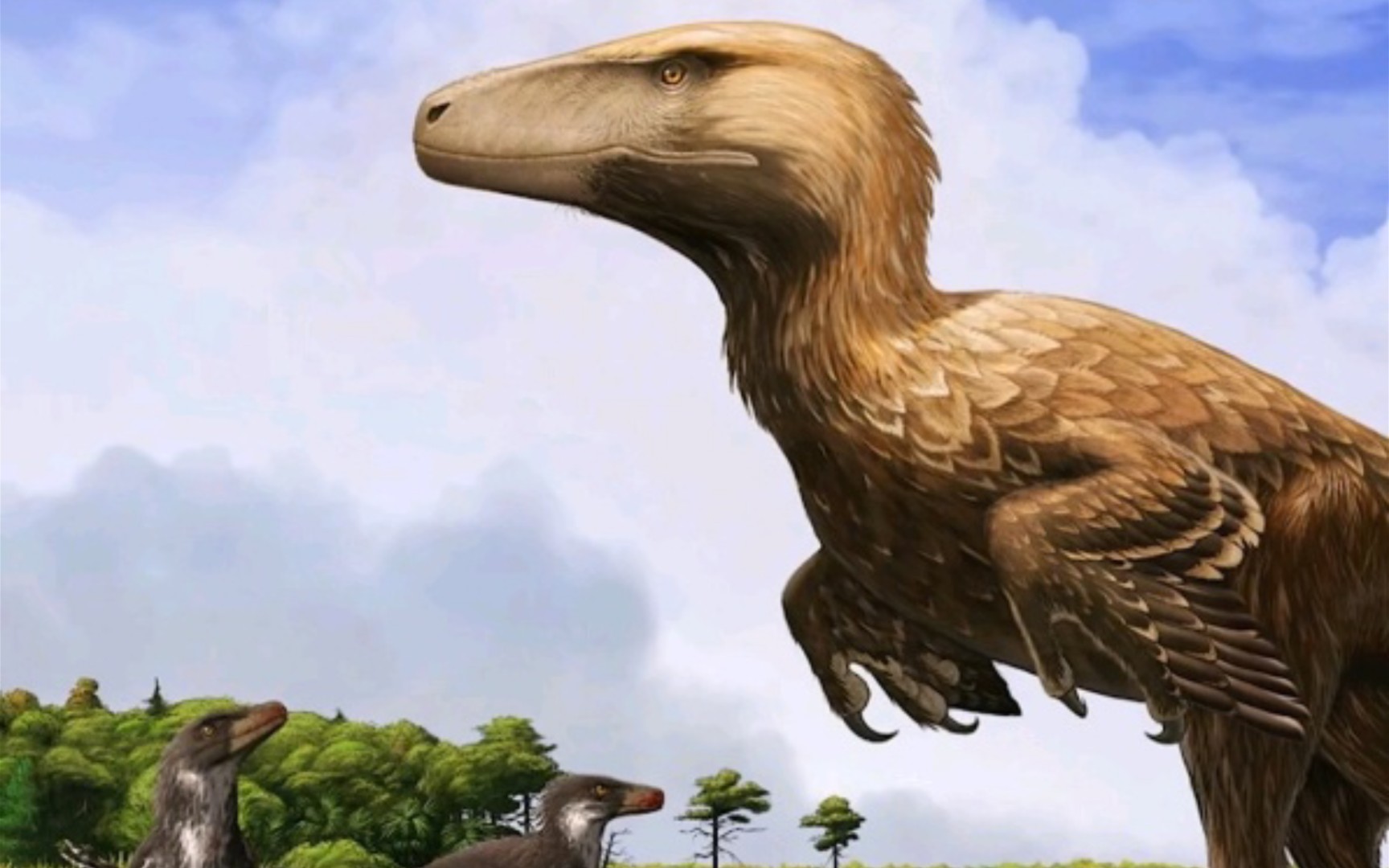 介绍较为著名的10种手盗龙形类不包括鸟翼类