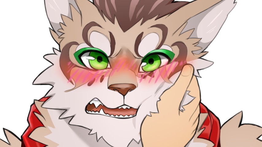 家有大猫#6丨甘道夫!_哔哩哔哩 (゜-゜)つロ 干杯~-bilibili