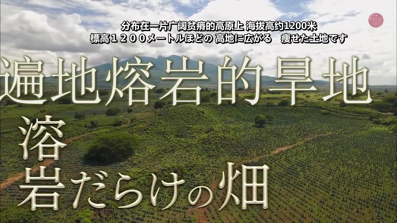 [图]【TBS-世界遗产】墨西哥之魂龙舌兰酒的故乡190113【NHK美少女字幕组】【中日字幕】