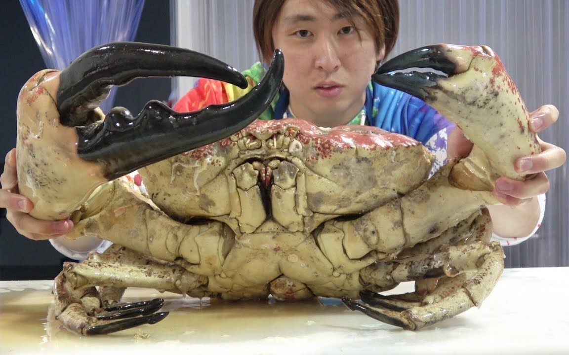 试吃世界最大螃蟹,蟹钳比手臂还粗!想吃?先拿只锤子吧!