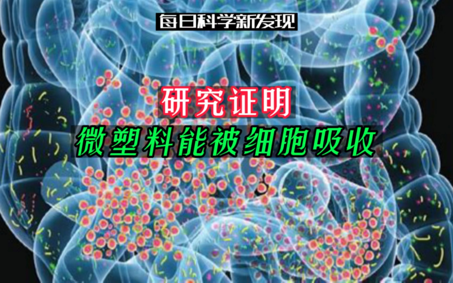 【每日科学新发现】研究证明微塑料能被细胞吸收,但是否会破坏细胞的正常新陈代谢,还尚未知晓哔哩哔哩bilibili