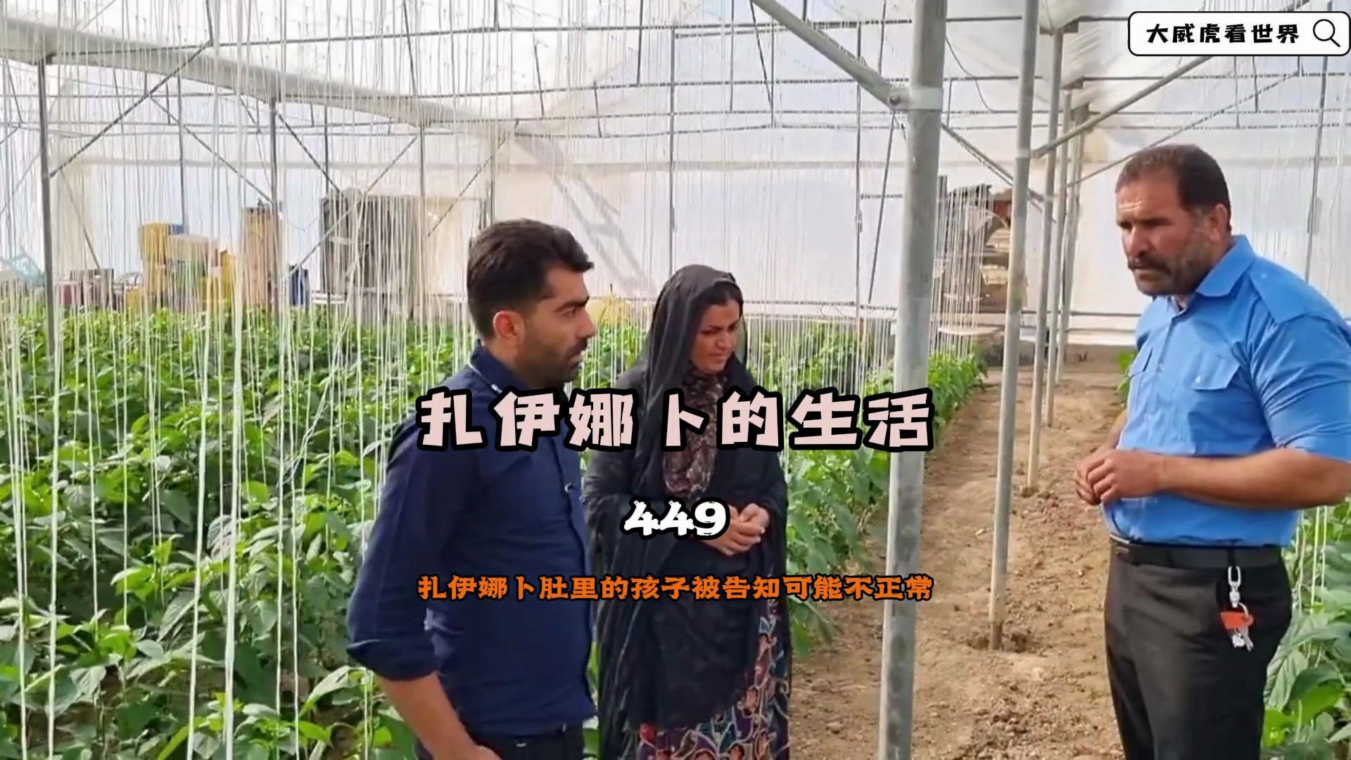 扎伊娜卜肚里的孩子被告知可能不正常,努尔巴赫带着老婆进城检查哔哩哔哩bilibili