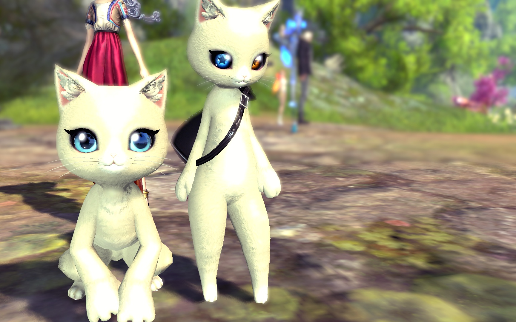 情缘谷的一只猫侠客_哔哩哔哩_bilibili