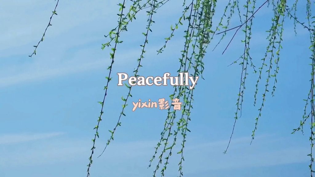 Peacefully . yixin影音哔哩哔哩bilibili