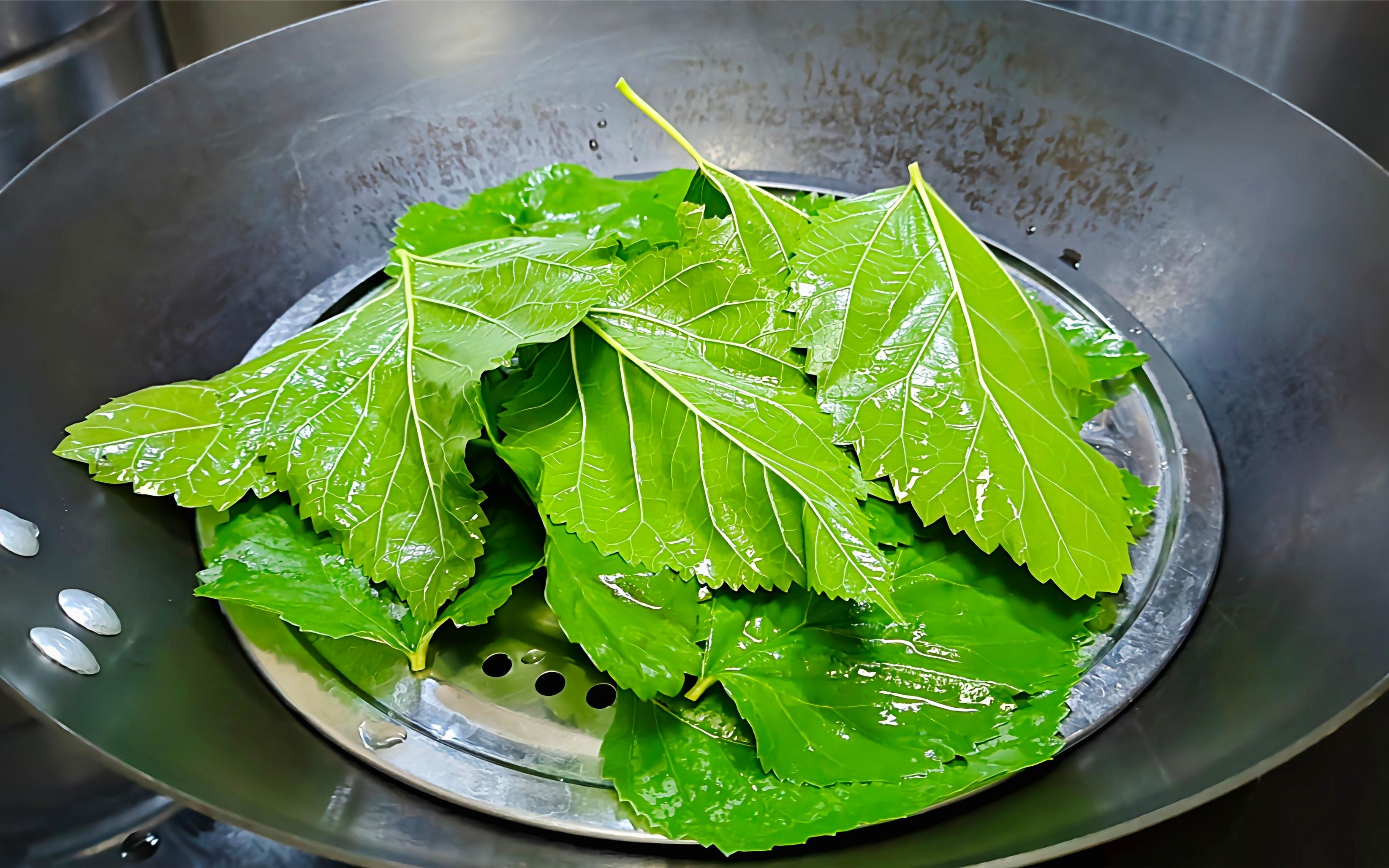 桑叶放锅里蒸一蒸,作用实在厉害了,好多人都不知道,省钱又实用