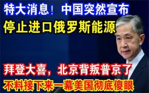 Video herunterladen: 特大消息！中国突然宣布：停止进口俄罗斯能源，全世界傻眼