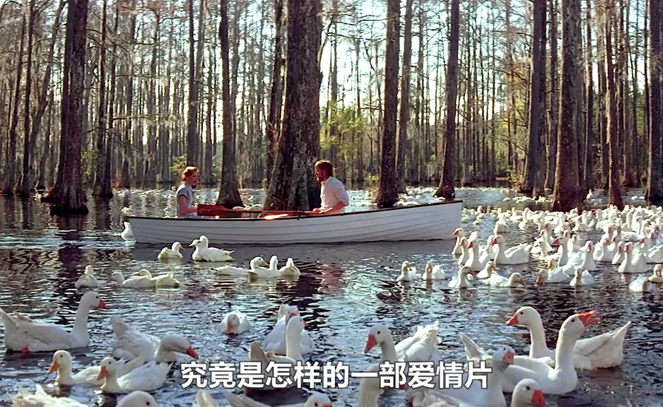 穷小子爱上富家女,感动无数人的神仙爱情电影!