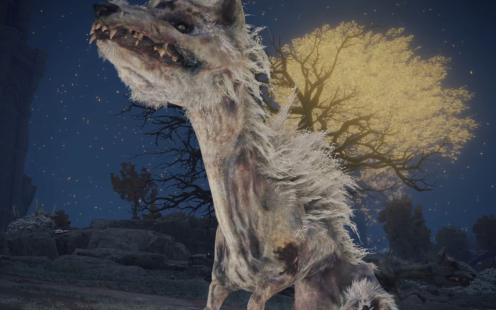 艾尔登法环简单观察一下大头狗