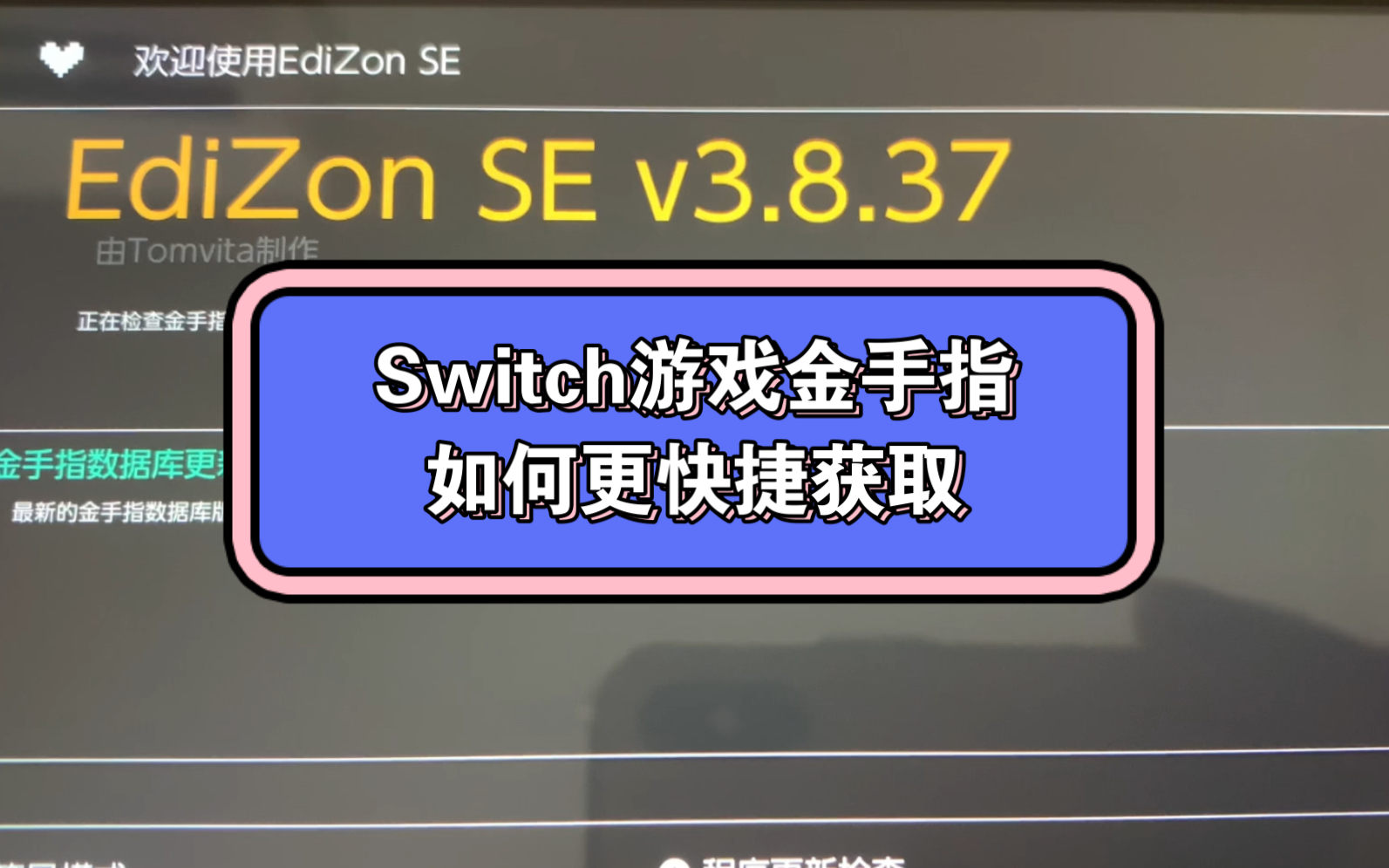 [图]Switch如何优雅的使用金手指，游戏有了，工具有了，就差人去玩了