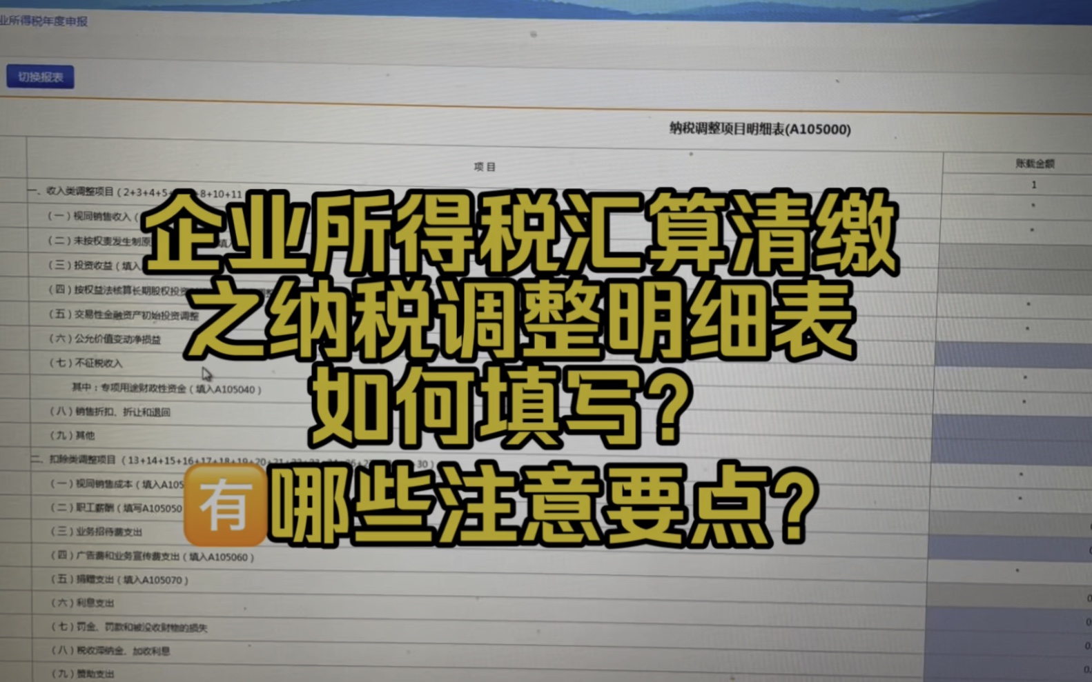 会计实操~企业所得税汇算清缴之纳税调整明细表,该如何填写,有哪些地方要注意?哔哩哔哩bilibili