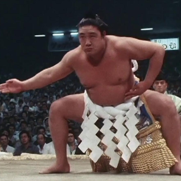 故、二代目、若乃花幹士、第56代横綱、B B M大相撲レジェンド、グローリー。 故、二代目、若乃花幹士、第56代横綱、B B M大相撲レジェンド