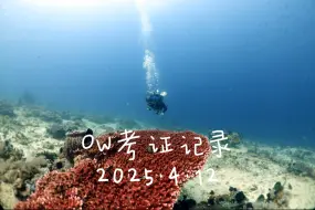 2025.4.12OW考证记录学生：Susan教练：火山By 初潜潜水年纪越大，学潜水越难，但事在人为……加油了