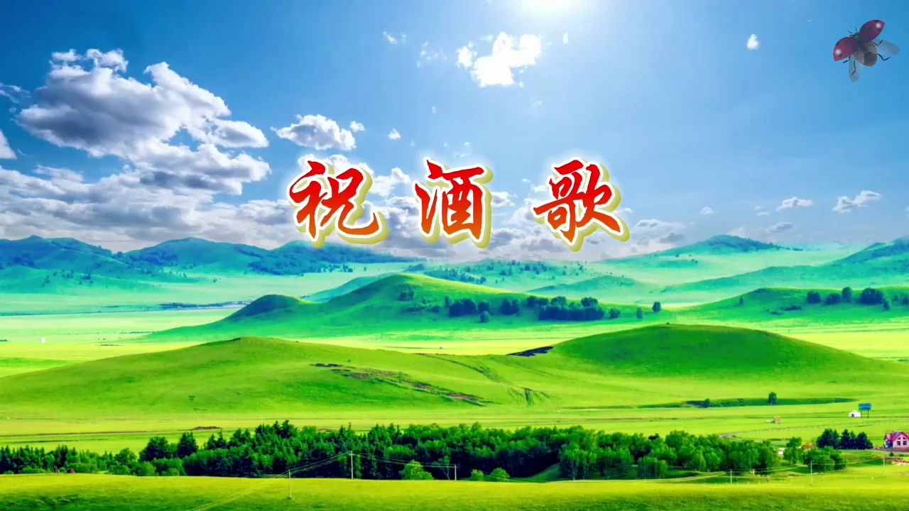 祝酒歌 歌曲舞蹈内蒙古大草原歌唱舞台演出表演节目晚会大屏幕高清led