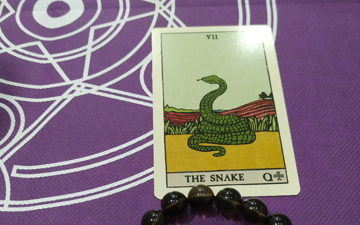 活动  《看图说话:雷诺曼,利诺曼(⑦号牌蛇)》