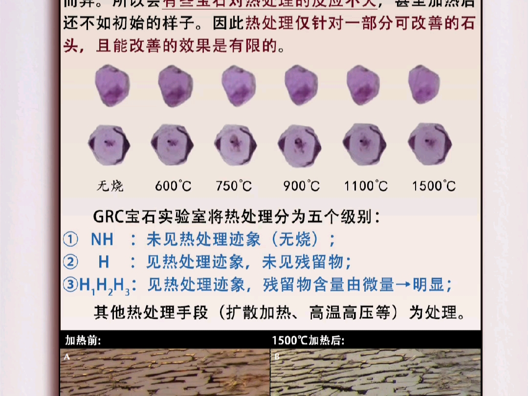 【雅伦肥】最新视频上线,求关注!哔哩哔哩bilibili