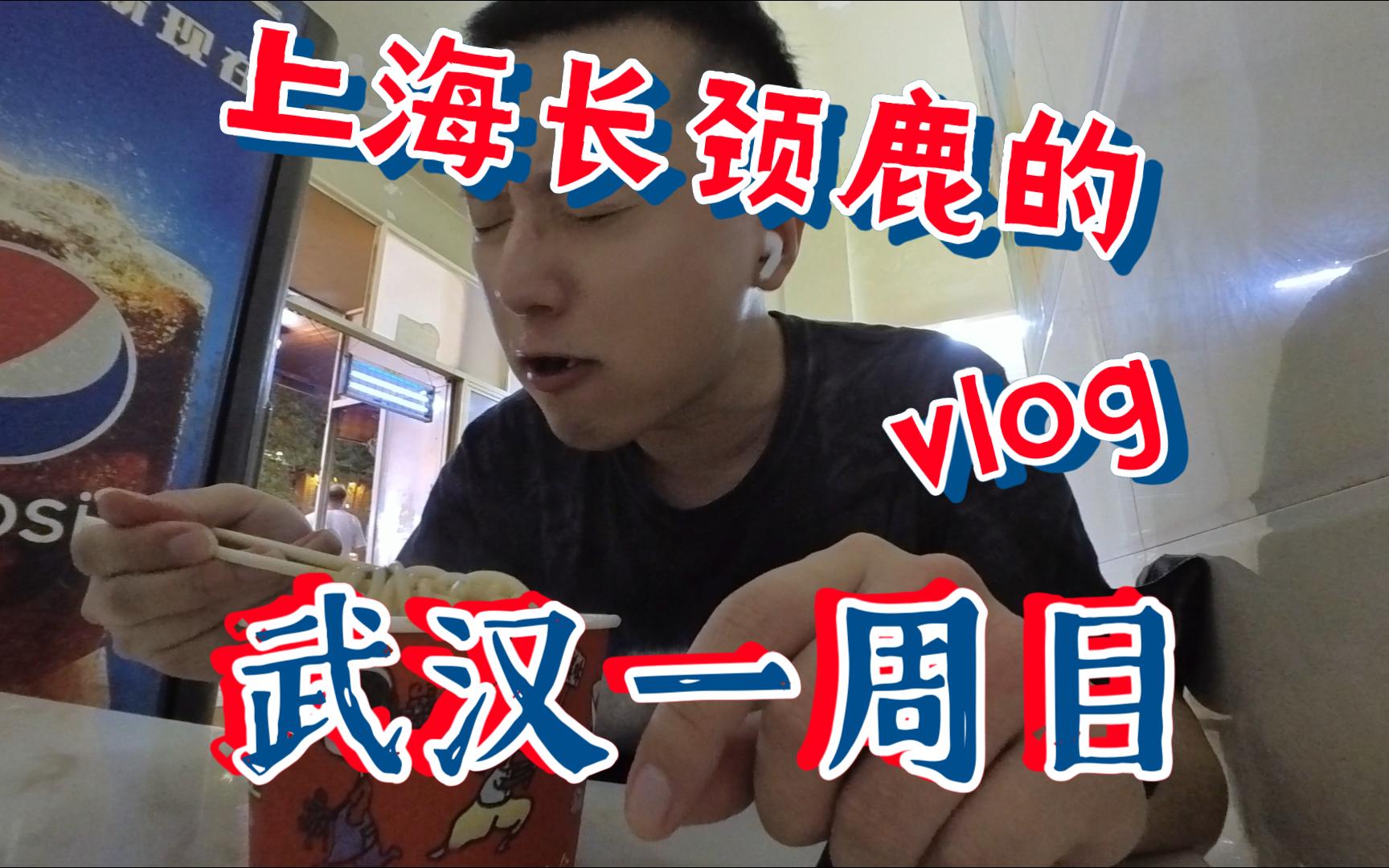 上海长颈鹿的Vlog.002:武汉一周目(上)哔哩哔哩bilibili