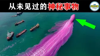 Download Video: 潜艇拍到了人类不该看到的东西！10个你从未见过的神秘事物！深海隐藏着太多秘密