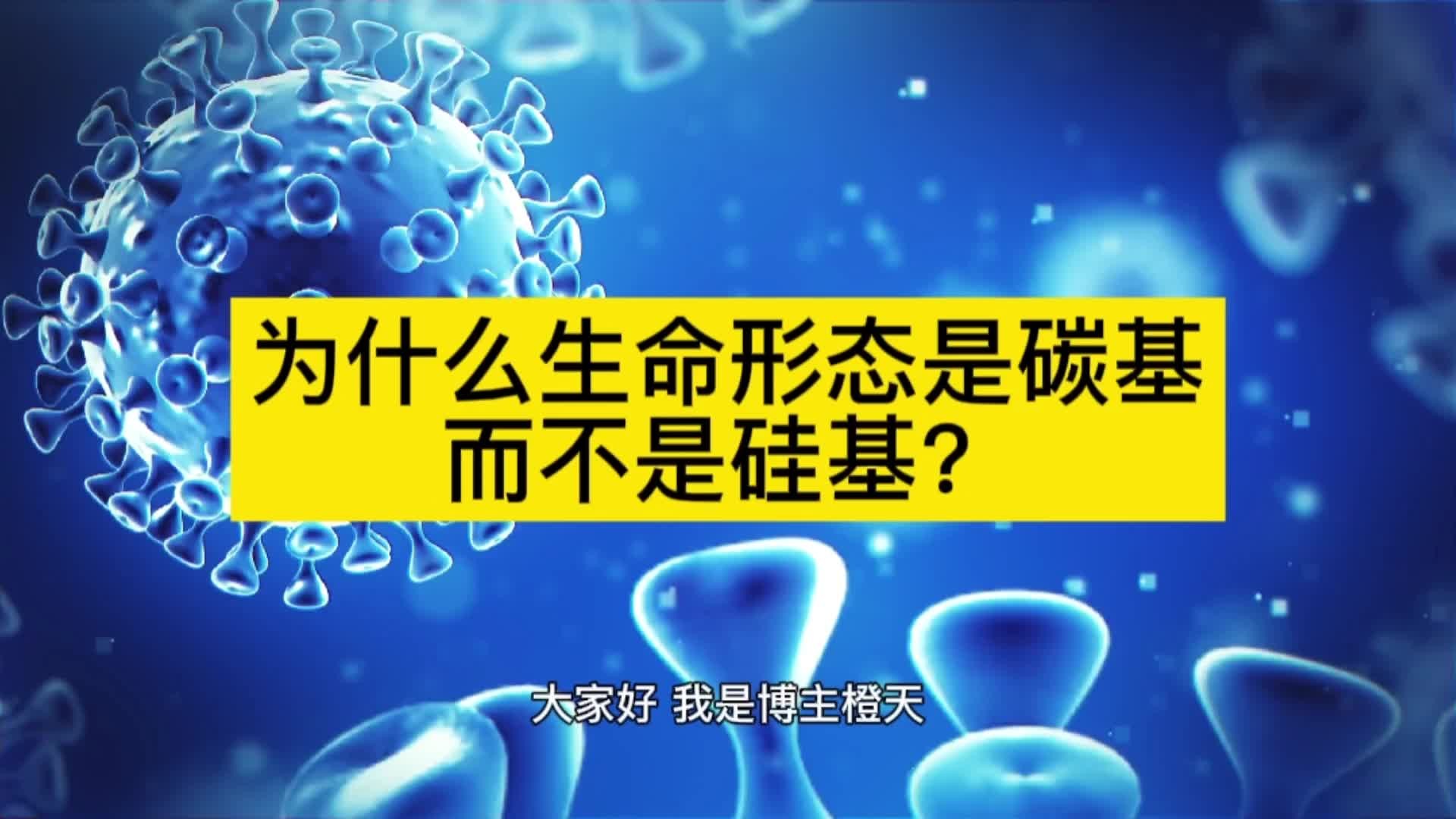 碳基生物是什么梗图片