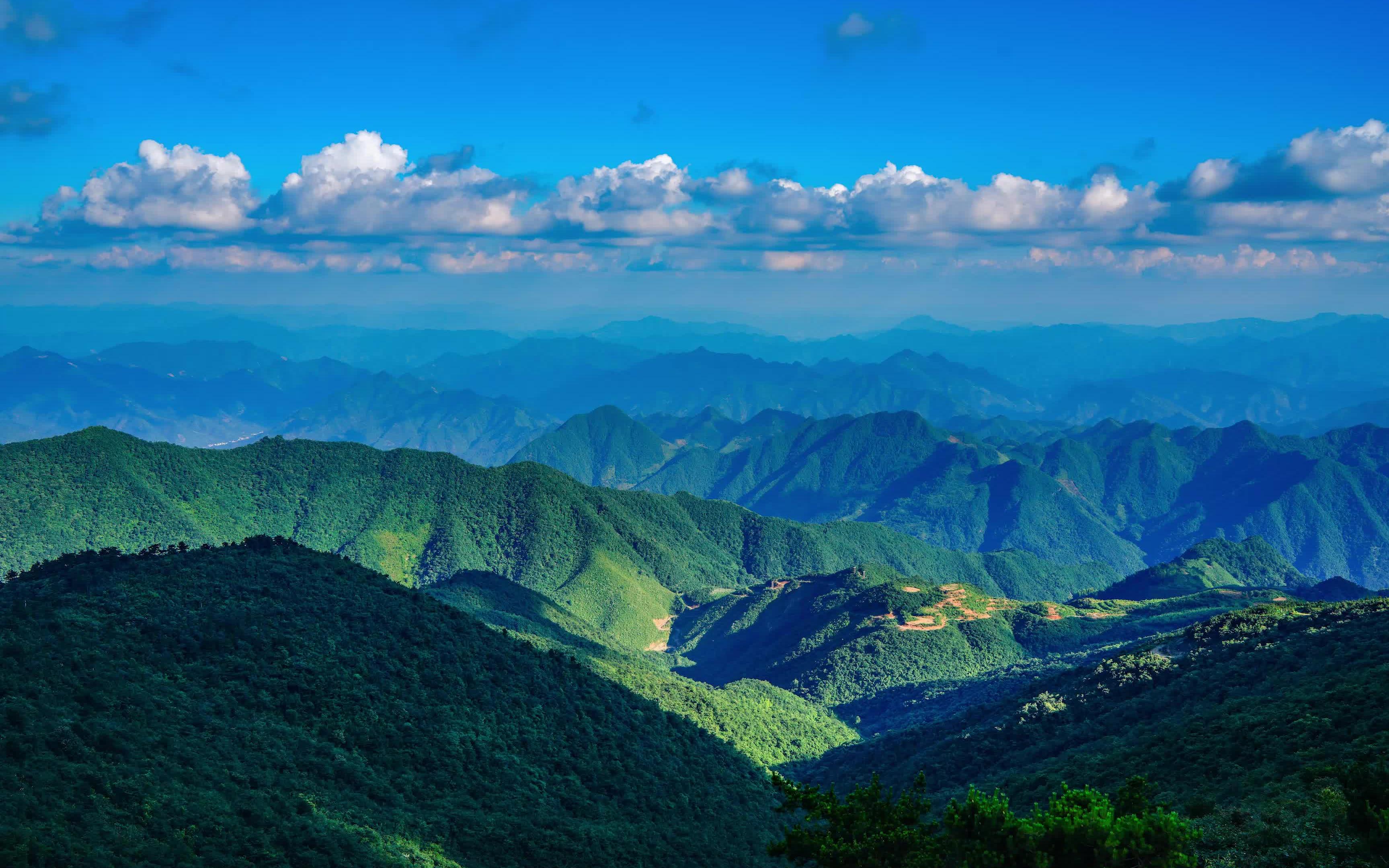 牵牛岗