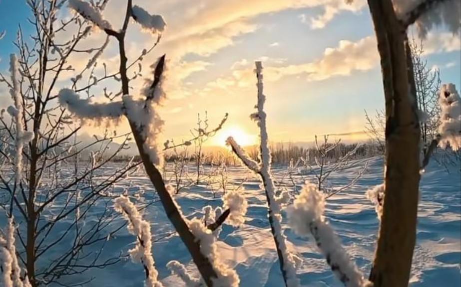 【冬雪的风景分享给你】哔哩哔哩bilibili